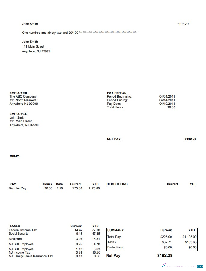 Download North Main Avenue Pay Stub Template Photoshop template